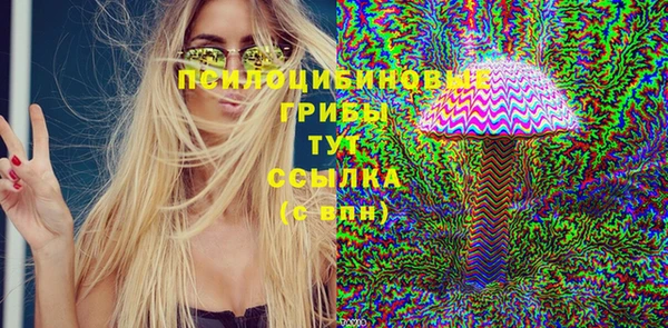 марки lsd Белокуриха